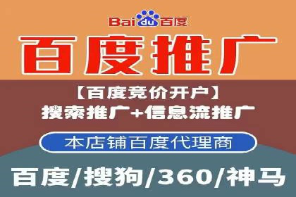 案例分析：SEM广告助力电商行业突破